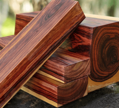 kiln drying tropical hardwood